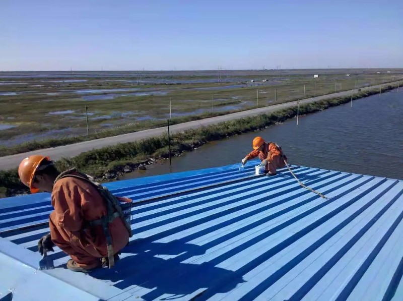 阳新钢结构屋面漏水原因